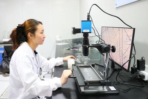 最美生產(chǎn)線 走進(jìn)中紡聯(lián)檢上海，探索檢驗(yàn)技術(shù)服務(wù)的卓越之旅